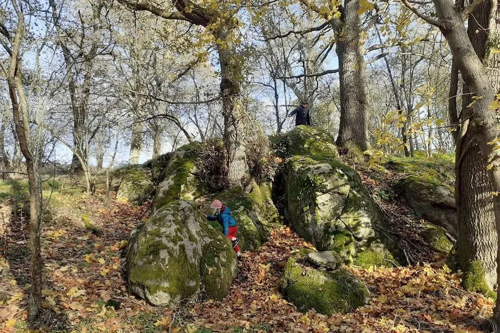Magnifique Moulin Au Bord D'Une Riviere, Calme Absolu, Piano Doyet France