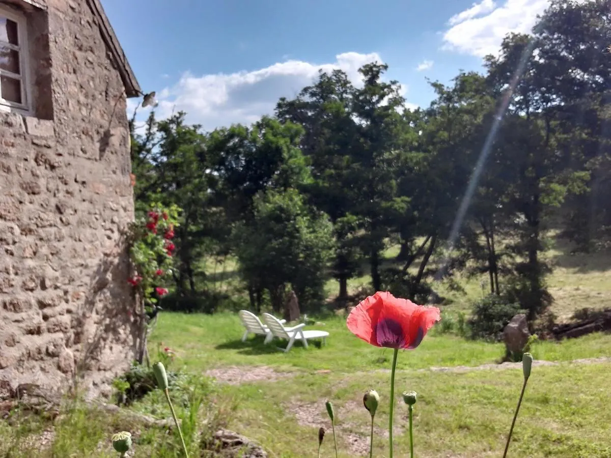 Holiday home Magnifique Moulin Au Bord D'Une Riviere, Calme Absolu, Piano Doyet France